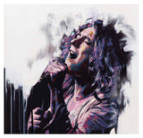 Robert Plant ‘Kashmir’