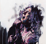 Robert Plant ‘Kashmir’